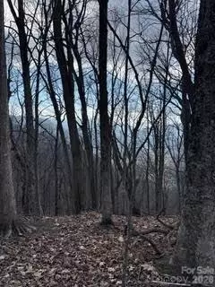 00 Mule Stomp Rd, Clyde, NC 28721 photo 16