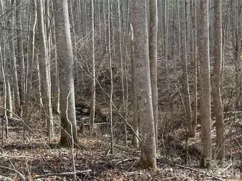 00000 Martins Creek Rd, Barnardsville, NC 28709