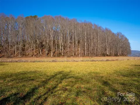 000 Lyons Mountain Rd, Brevard, NC 28712 photo 12