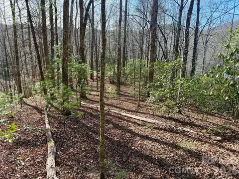 Fox Den Road, Brevard, NC 28712 photo 2