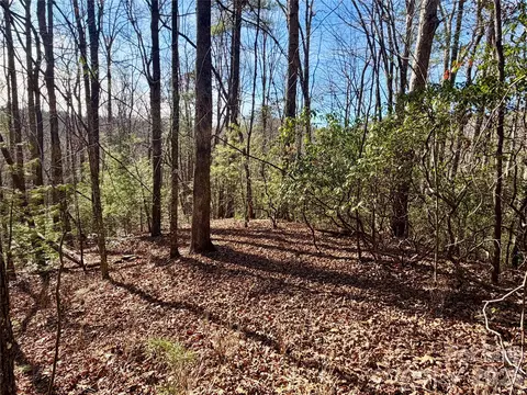 Fox Den Road, Brevard, NC 28712 photo 5