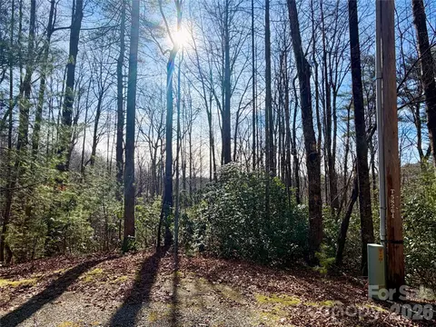 Fox Den Road, Brevard, NC 28712 photo 10