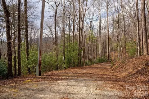 Fox Den Road, Brevard, NC 28712 photo 3
