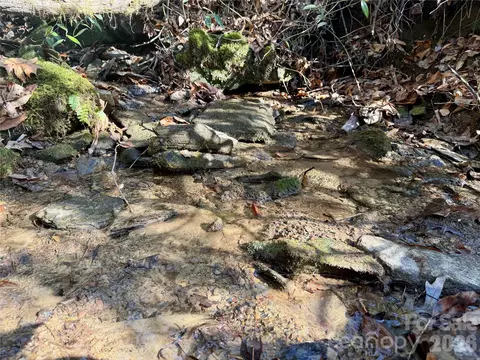 Fox Den Road, Brevard, NC 28712 photo 6