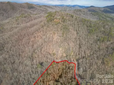 Fox Den Road, Brevard, NC 28712 photo 12