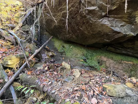 Fox Den Road, Brevard, NC 28712 photo 9