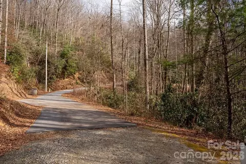 Fox Den Road, Brevard, NC 28712 photo 14