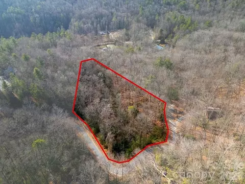 Fox Den Road, Brevard, NC 28712 photo 11