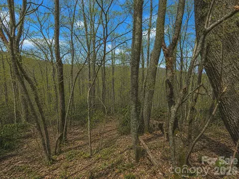 10 Tall Oaks 58a 58b Dr #58A & 58B, Maggie Valley, NC 28751