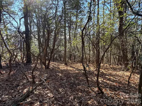 Bobcat Mountain 27 Road #27, Purlear, NC 28665 photo 10