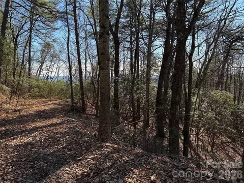 Bobcat Mountain 27 Road #27, Purlear, NC 28665 photo 6