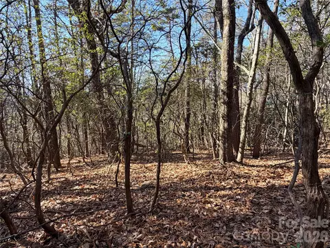Bobcat Mountain 27 Road #27, Purlear, NC 28665 photo 3