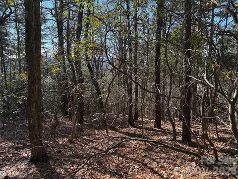 Bobcat Mountain 27 Road #27, Purlear, NC 28665 photo 14