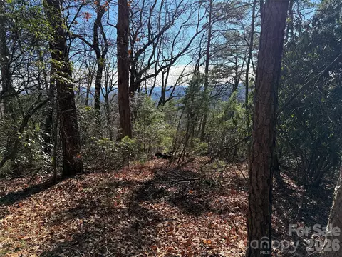 Bobcat Mountain 27 Road #27, Purlear, NC 28665 photo 8