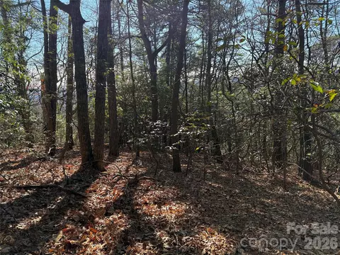 Bobcat Mountain 27 Road #27, Purlear, NC 28665 photo 15