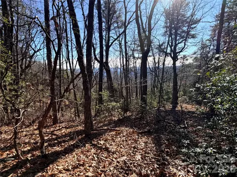 Bobcat Mountain 27 Road #27, Purlear, NC 28665 photo 9