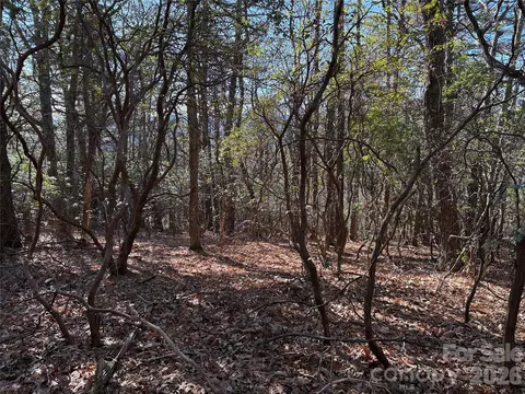 Bobcat Mountain 27 Road #27, Purlear, NC 28665 photo 12