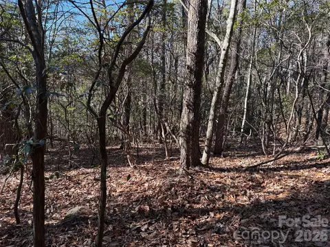 Bobcat Mountain 27 Road #27, Purlear, NC 28665 photo 13