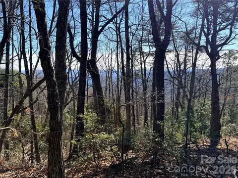 Bobcat Mountain 27 Road #27, Purlear, NC 28665 photo 17