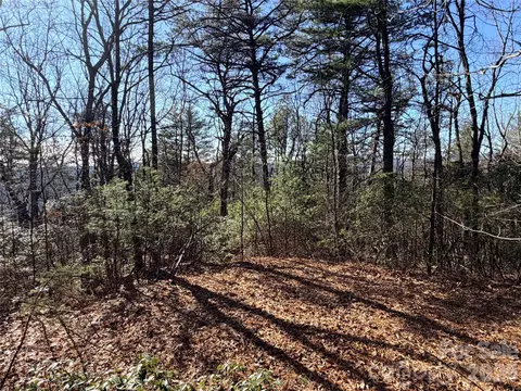 Bobcat Mountain 27 Road #27, Purlear, NC 28665 photo 7