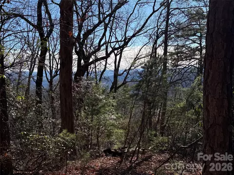 Bobcat Mountain 27 Road #27, Purlear, NC 28665 photo 2