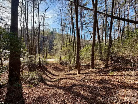 Fox Den 35, Brevard, NC 28712 photo 3