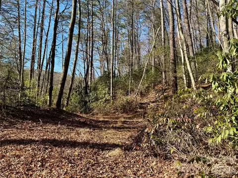 Fox Den 35, Brevard, NC 28712 photo 2