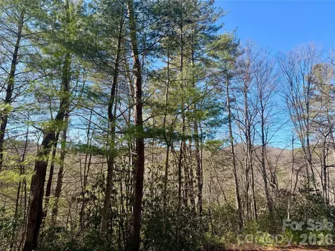 Fox Den 35, Brevard, NC 28712 photo 10
