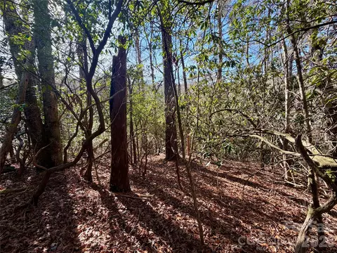Fox Den 35, Brevard, NC 28712 photo 12