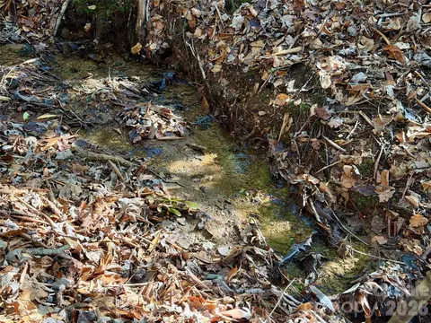 Fox Den 35, Brevard, NC 28712 photo 6