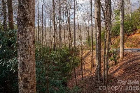 Fox Den 35, Brevard, NC 28712 photo 9