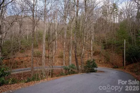 Fox Den 35, Brevard, NC 28712 photo 14