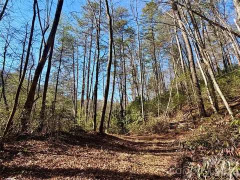 Fox Den 35, Brevard, NC 28712 photo 19