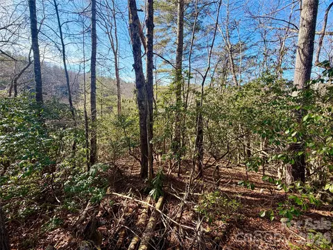 Fox Den 35, Brevard, NC 28712 photo 8