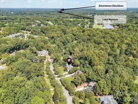 View/Area - 13446 Scanlan Way, Davidson, NC 28036 photo 7 of 9