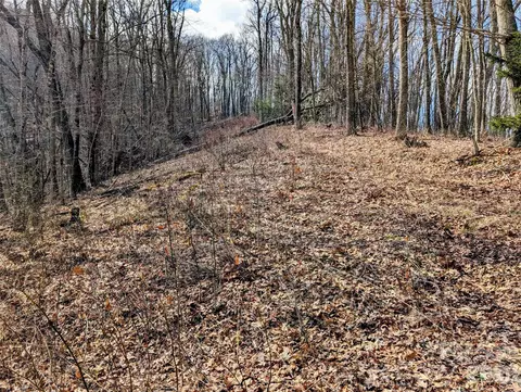 APT 49 Hazel Top Section, Waynesville, NC 28786