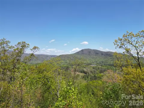 Hibiscus Court, Lake Lure, NC 28746