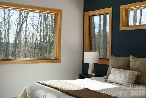 Other - 584 Springbrook Ln, Brevard, NC 28712 photo 7 of 18