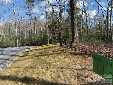 Turtle Ridge Trail, Mills River, NC 28759