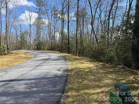Turtle Ridge Trail, Mills River, NC 28759