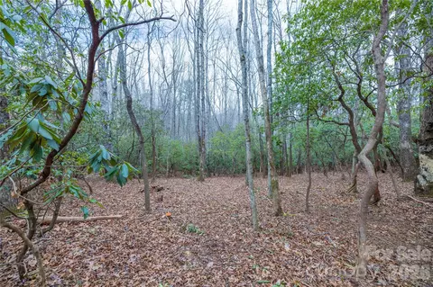 Turtle Ridge Trail, Mills River, NC 28759