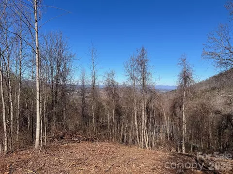 99999 Farm Cove 10 Ln #10, Leicester, NC 28748