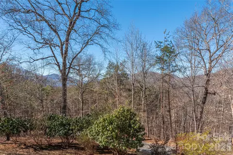 706 Ramble Ln, Canton, NC 28716 photo 28