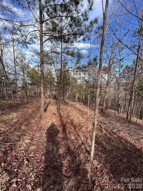 254 Stoney Creek 224 Dr #224, Nebo, NC 28761
