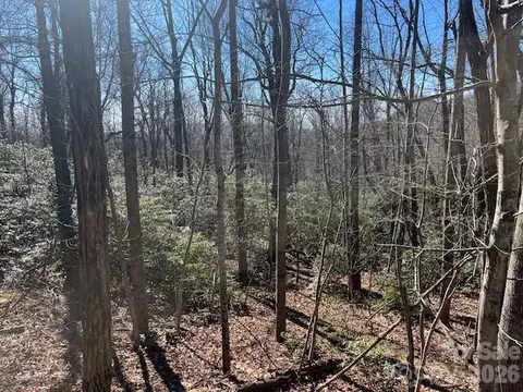 Arrowhead Trail, Columbus, NC 28722