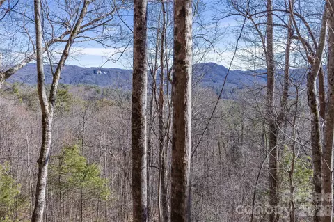 33 High Point Trl, Brevard, NC 28712 photo 20