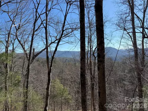 33 High Point Trl, Brevard, NC 28712 photo 2