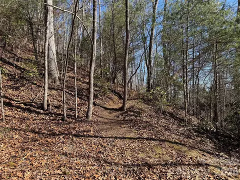 33 High Point Trl, Brevard, NC 28712 photo 3