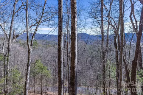 33 High Point Trl, Brevard, NC 28712 photo 18
