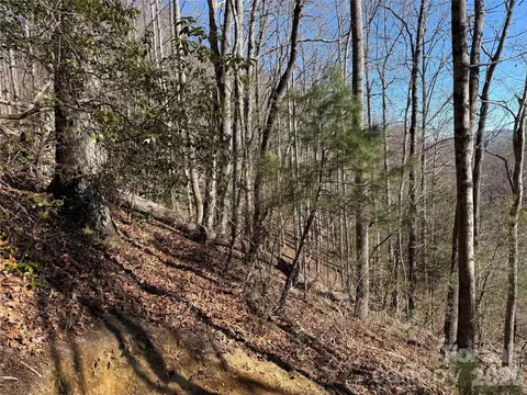 33 High Point Trl, Brevard, NC 28712 photo 6